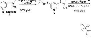 Ir-Catalyzed Borylation Route to a Nicotine Hapten