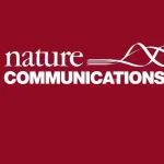 河北大学高勇军/北京大学马丁Nature Communications&#160;：焦耳加热技术转化塑料废物与CO&#8322;为合成气