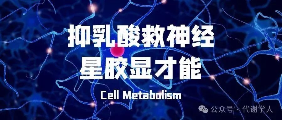 Cell Metabolism：抑乳酸救神经，星胶显才能