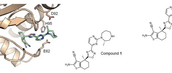 Science | &#8203;使用小分子泛 KRAS 降解剂靶向癌症