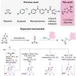 J. Am. Chem. Soc. | &#8203;用于药物靶标识别的可光照释放的噁二唑烷类化合物