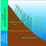 云南大学博士研究生吴启航在Water Research发表新成果