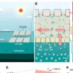 南京大学最新Science！