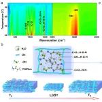浙工大潘梅兰教授团队 Mater. Horiz.：一种新型手性分离方法 - 仿生温敏凝胶膜