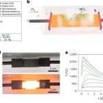 清华大学环境学院邓兵课题组合作Nat. Chem. Eng.：开发战略性关键金属回收分离的电热氯化新方法
