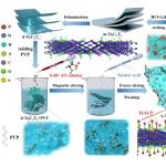 南京工业大学《ACS AMI》：原S-NRP@Ti3C2Tx复合材料，用于锂离子电池