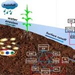 中国农科院环发所研究团队在土壤学领域一区top期刊发表最新研究进展！