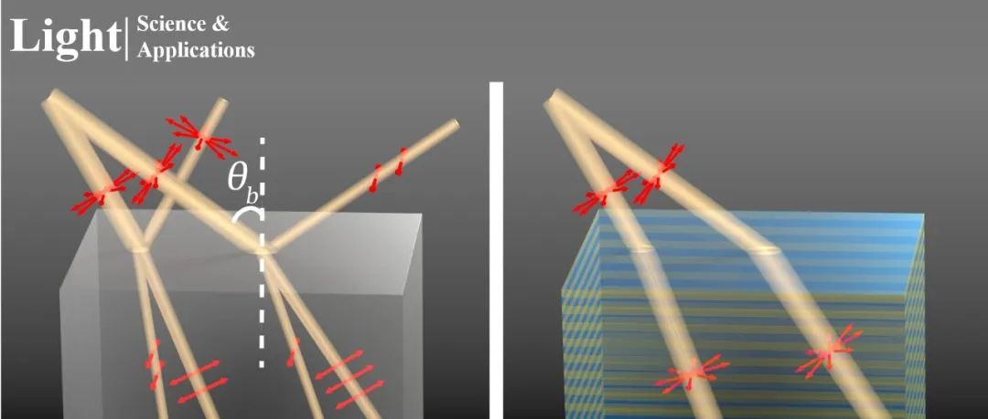 Light | 自对偶电介质超材料和全角度全偏振布儒斯特效应