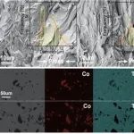 南京工业大学《JAC》：首次将黄铁矿型材料CoSe2添加至TiS2基热电材料