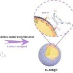 【CCS Chem.】中国科学技术大学刘庆华：活性位点转化促进碳包覆铜氧化物电化学生成H&#8322;O&#8322;