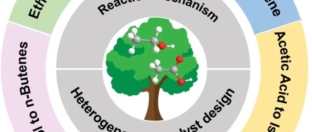 南开大学戴卫理&中国民航大学颜婷婷团队综述：催化转化生物质基乙醇和乙酸生成碳四化学品