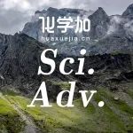 离子分离膜Science子刊：通过调控成膜单体排列取向，实现单多价阴阳离子同时分离