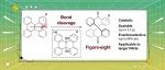 J. Am. Chem. Soc.：通过平面芳香烃制备八字大环化合物的内键裂解方法