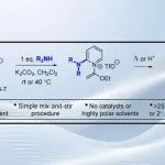 Org. Lett.：作为 2-氨基吡啶衍生物合成试剂的限制稳定的 2-卤代吡啶烯酮半胺缩醛