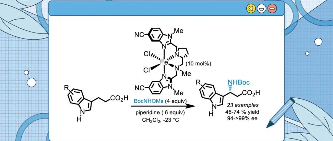 Org. Lett.：铁催化的3-吲哚丙酸对映体选择性胺化反应生成β3-色氨酸