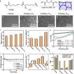 山东大学王旭教授 AFM：持久润滑水凝胶的未来 - 聚电解质水凝胶