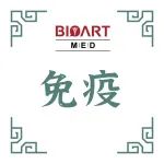 EMBO J丨崔隽/金寿恒团队发现新型内质网自噬受体UBAC2调控炎症稳态的新机制