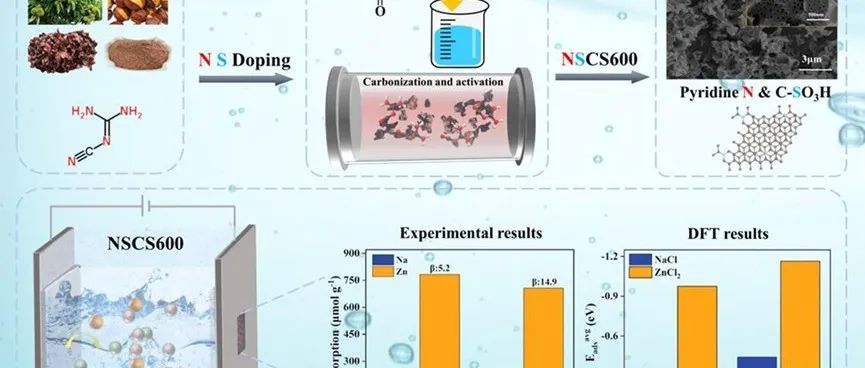 【视点】天津大学化工学院汪洋课题组：N, S共掺杂生物炭对锌离子的高效选择性去除