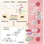 Adv Sci | 西北农林科技大学动科学院羊遗传改良与生物育种团队在解析植物提取物调控肠道炎症的作用机制方面取得重要进展