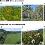 植物所副研究员以第一作者在《Nature Ecology & Evolution》发表科研进展！