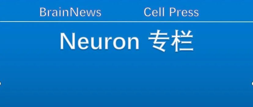 Neuron：海马脑区参与灵活记忆的形成和巩固，又双叒叕有新发现！