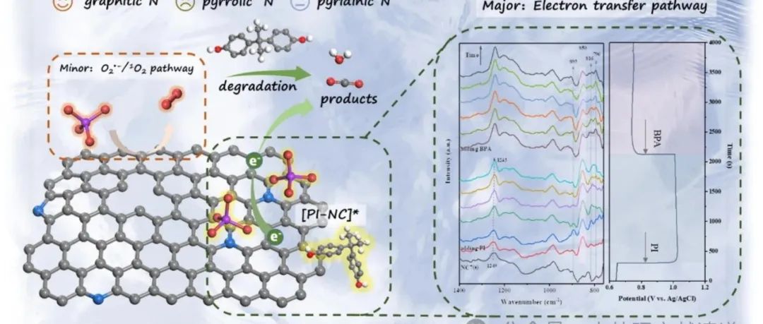 文献速递|中国科学院山西煤炭化学研究所CEJ:利用聚苯胺衍生碳活化高碘酸盐降解双酚A：深入了解氮掺杂剂和非辐射物种形成的作用