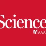 楼雄文Science Advances：一文了解钙钛矿氧化物电催化最新进展！