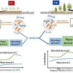 STOTEN丨自然恢复和耕作促进长期土壤碳固持的机制研究取得新进展