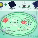 温州大学孙达-重庆科技大学曾国明在《Bioresource Technology》上合作发表控藻最新进展！