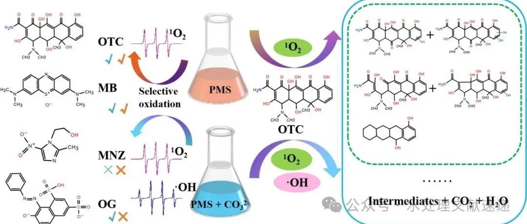 文献速递|杭州电子科技大学SPT:未活化和碳酸盐活化PMS对有机污染物的选择性氧化：机理、动力学和转化途径