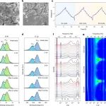 全固态钠电！孙学良院士，最新Nature Materials！