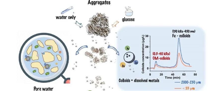 复旦/南土所ES&T：团聚体→胶体→溶液：多金属污染土壤氧化还原行为的时空解构
