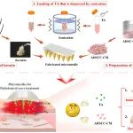 康复大学周祺惠团队/青大附院王志国 AFM：生物活性角蛋白水凝胶微针贴片用于病理性瘢痕治疗