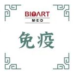 Cell Mol Immunol丨张纪岩团队揭示Rack1促进B细胞发育和功能的机制