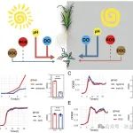 浙江大学徐建明教授团队《PNAS》最新成果！