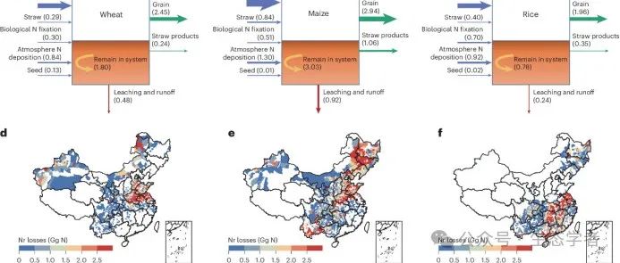 北京师范大学博士生以第一作者在《Nature 》子刊 发表最新科研进展！