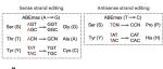 Nat. Chem. Biol. | 基于CRISPR碱基编辑器对功能性Ser、Thr和Tyr残基进行系统分析