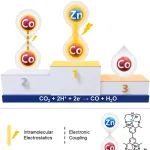 Chem Catal.：设计双核Co-Co和Co-Zn分子催化剂有效电催化CO2还原：探究分子内静电场效应对催化活性提升的影响