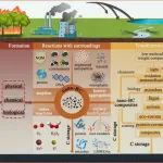 麻省大学邢宝山、河北工业大学廉菲等ES&T综述：纳米黑炭（生物炭）在生物地球化学过程中的重要作用