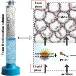 中北大学胡楠团队CEJ：基于两亲Janus SiO2纳米颗粒的泡沫分离法从水中高效去除氟辛烷磺酸（PFOS）