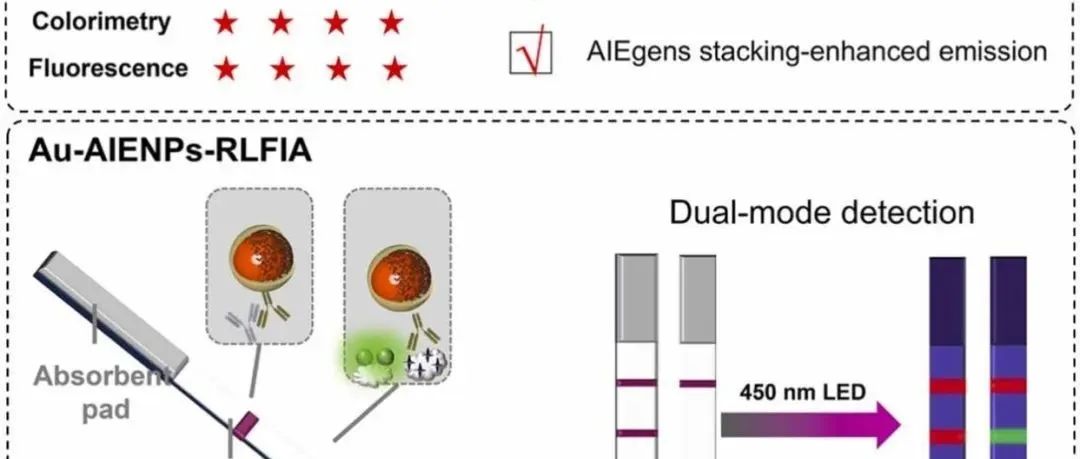 Nano Today.金纳米粒子和AIE分子的新月形Janus 纳米组装体:增强比色和比率荧光侧向流免疫分析的等离子体和荧光活性