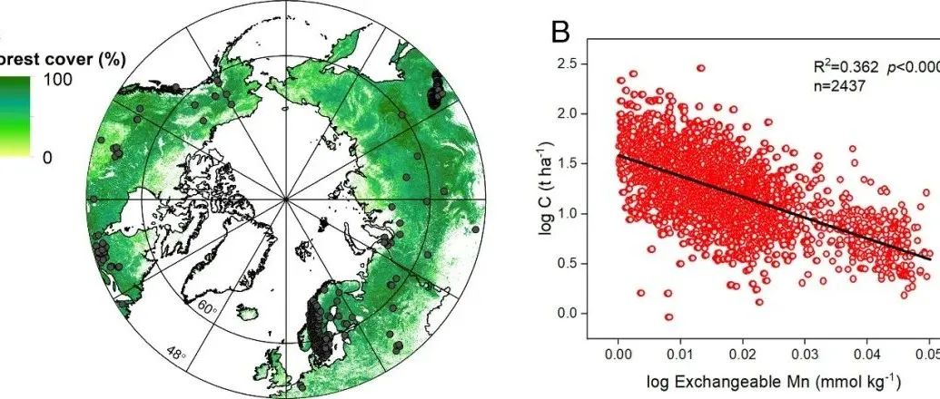 【他山之石】中国科学院应用生态研究所探究可交换态锰调节北方森林腐殖质层中的碳储存
