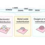 Chem. Soc. Rev.：金属氧化物负载原子、团簇和纳米粒子催化中的金属-载体相互作用