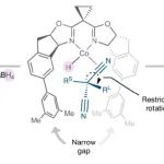 研究前沿：香港大学/香港科技大学-钴催化-丙二腈 | Nature Chemistry