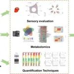 Food Research International：探索乌龙茶的风味多样性：使用代谢组学、定量技术和感官评价进行综合分析