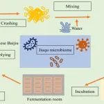 北京工商大学李秀婷教授团队在国际生物学期刊发表综述论文：解密中国传统发酵食品发酵剂--大曲中的微生物与风味物质