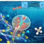 南昌大学王红明教授课题组在稀土催化二氧化碳资源化利用领域取得重要进展