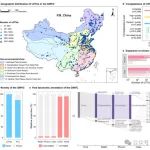 北京师范大学博士生以第一作者在《Nature 》子刊 发表最新科研进展！