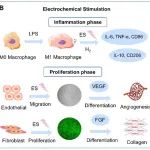 吉林大学卢革宇教授团队 Adv. Mater.：生物电池伤口愈合贴片