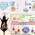 Biomaterials：闭环诊疗微凝胶可在溃疡性结肠炎中实现免疫微环境调节和微生物群重塑